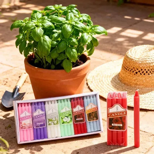 Velas Aromática Pack De 12 - 48 Velas En Total